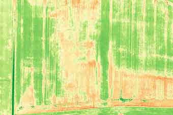 Drone 3D Topographic Surveying Service for Agriculture Drones Malawi Crop Spraying